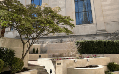 Fall Completion of the Courtyard Improvements